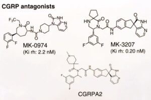 CGRP-Antagonisten in der klinischen Entwicklung