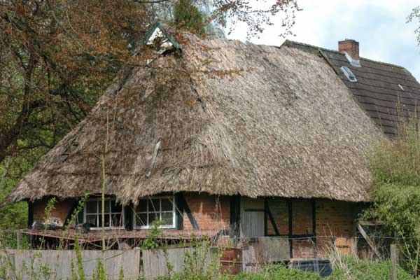 Reetdach-Haus Reetdach-Haus