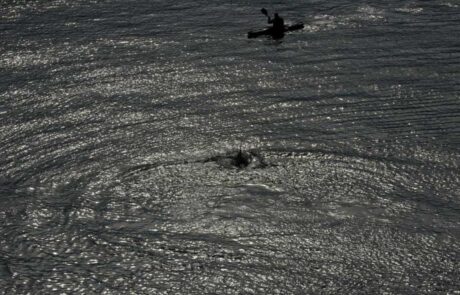 Kieler-Flipper-in-der-Schwentine-vor-der-Schmerzklinik-Kiel-4