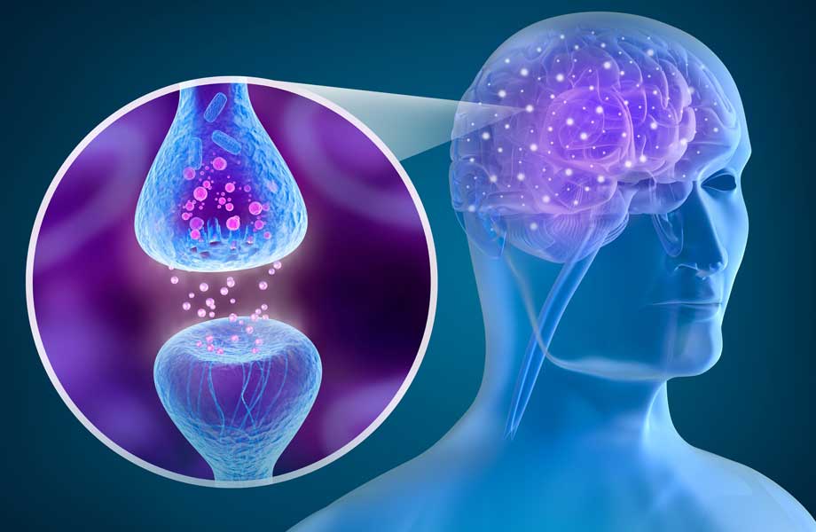 rezeptor-gehirn Migräne Wissen